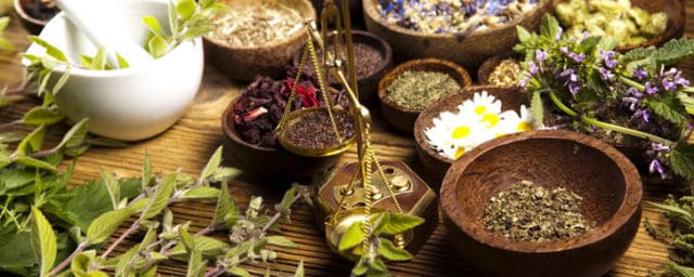 plantas_medicinais_capa