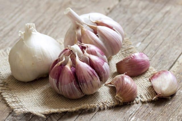 alimentos contra gripe
